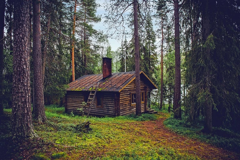 Forest Cabins